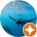 Manta Magic profile picture